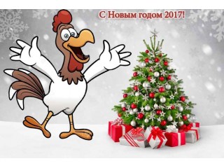 С наступающим Новым Годом и Рождеством!!!